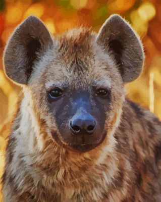 Hyenas Animal paint by numbers