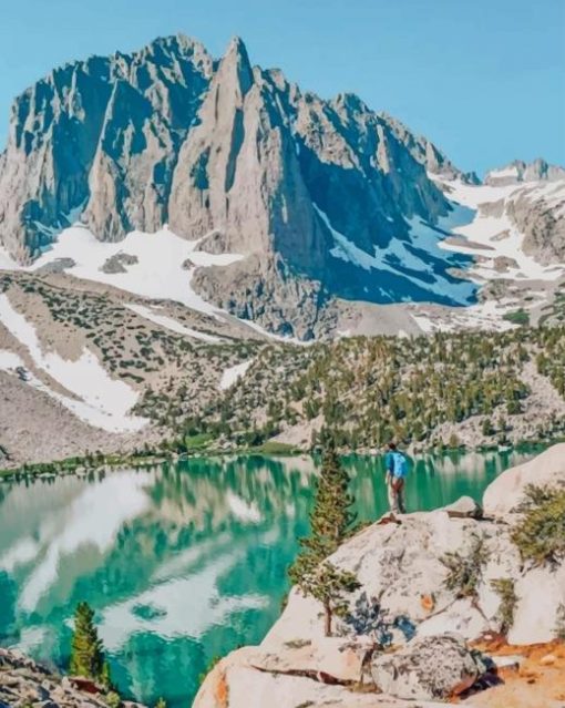 Inyo National Forest California paint by numbers