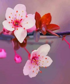 Japanese Cherry Blossom Flowers paint by numbers