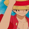 Luffy Wearing A Straw Hat paint by numbers