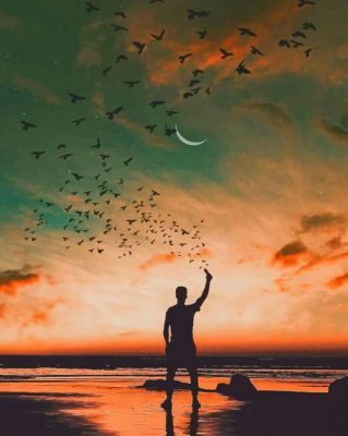 Man and birds paint by number
