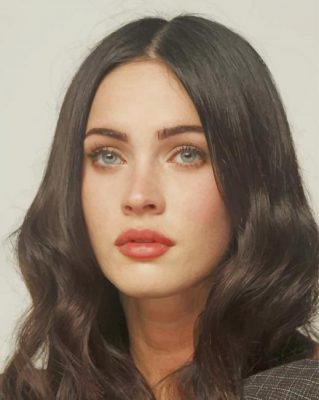 Megan Fox paint By numbers