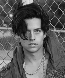 Mitchell Sprouse paint by numbers