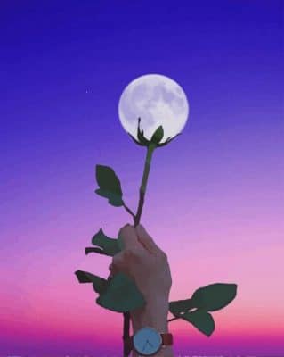 Moon Flower paint by numbers