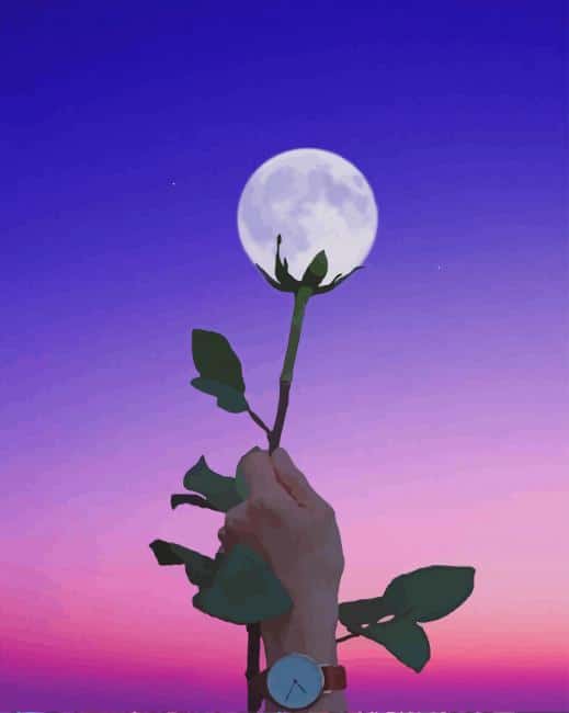 Moon Flower paint by numbers
