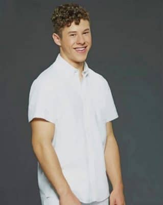 Nolan Gould American Actor paint by numbers