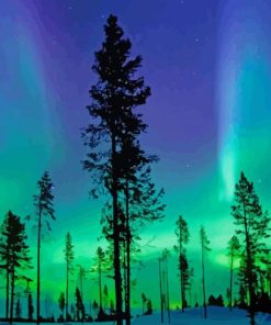 Northern Lights paint by number