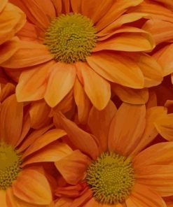 Orange Artificial Flowers paint by numbers