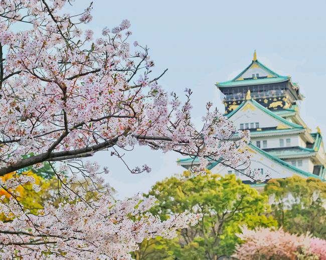 Cherry Blossom Osaka Japan paint by number