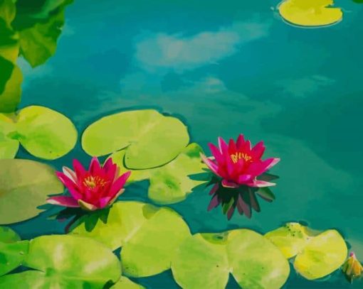 Pink Water Lilies paint by number