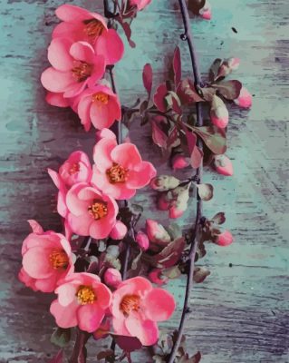 Pink flowers paint by numbers