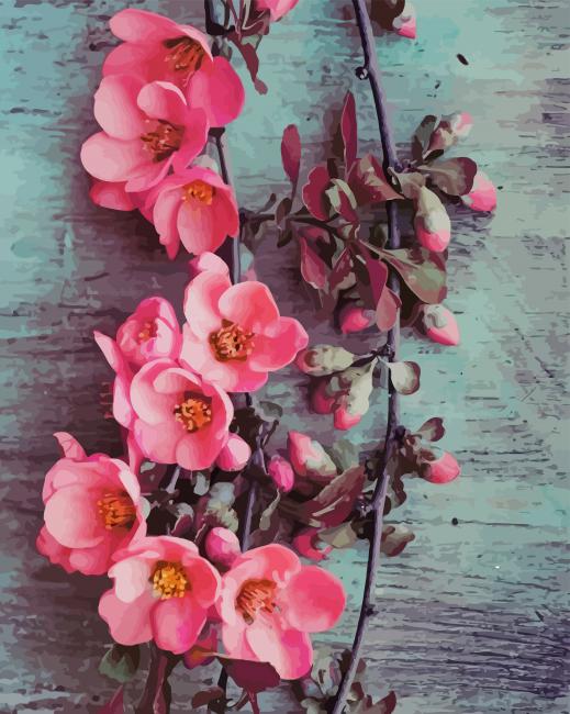 Pink flowers paint by numbers
