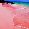 Pink Sand Beach paint by numbers