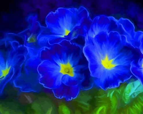 Primrose Blue Flowers paint by number