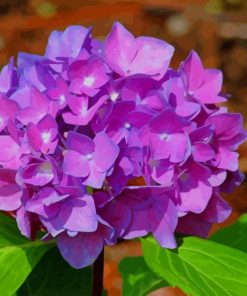 Purple hydrangea paint by number