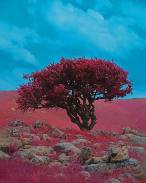 Red tree paint by numbers