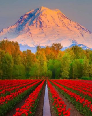 Red Tulips Field paint by numbers