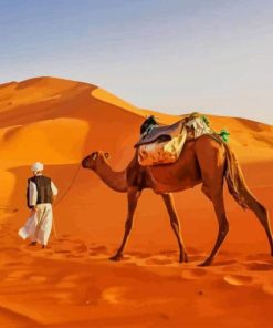 Sahara Desert in Africa paint by numbers