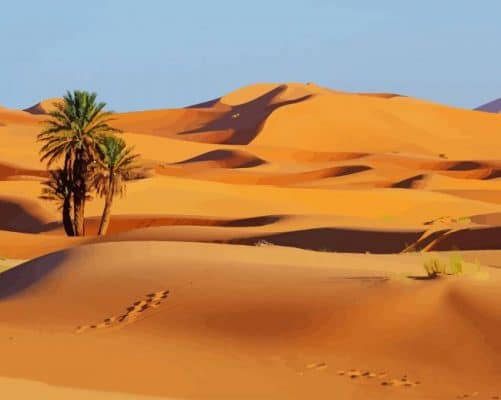 Sahara Desert paint by numbers