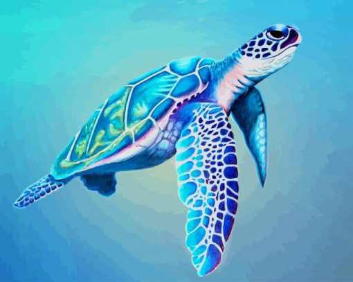 Sea Turtle paint by numbers