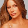 Sofia Vergara American Actress paint by numbers