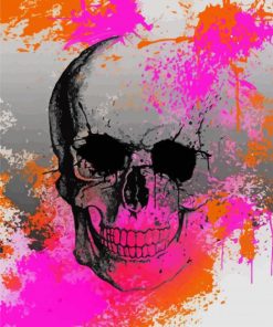 Splash Skull paint by numbers