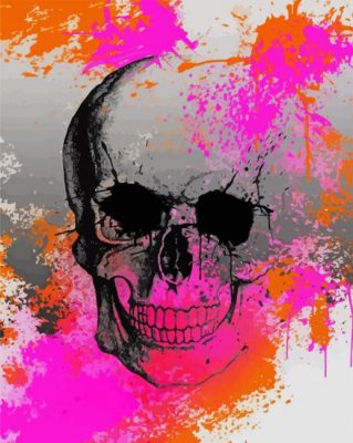Splash Skull paint by numbers