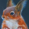 Squirrel Animal paint by numbers