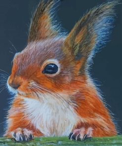 Squirrel Animal paint by numbers