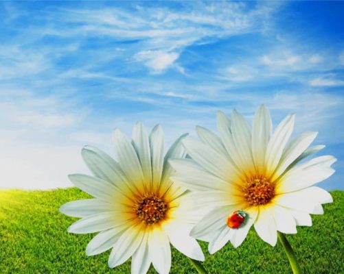 Summer Flowers Sunshine paint by number
