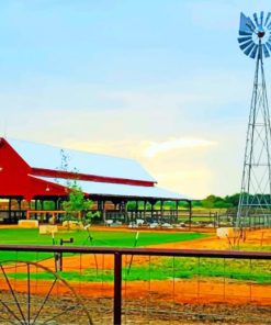 farm summer camp painting by numbers