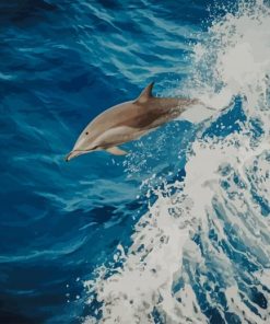 Swimming Dolphin paint by numbers