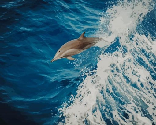 Swimming Dolphin paint by numbers