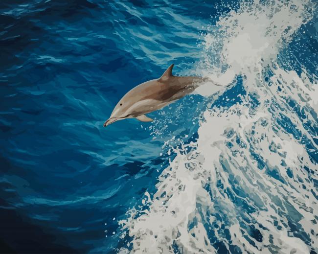 Swimming Dolphin paint by numbers