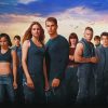 The Divergent Series paint by numbers