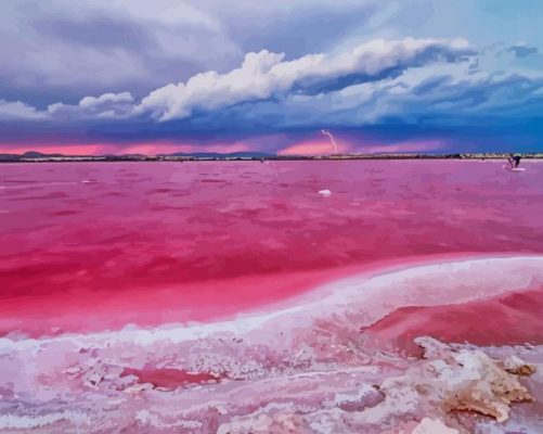 The Pink Lake Of Torrevieja Spain paint by number