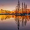 Tree reflection on lake paint by numbers