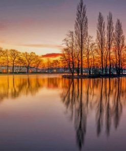 Tree reflection on lake paint by numbers