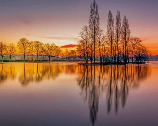 Tree reflection on lake paint by numbers