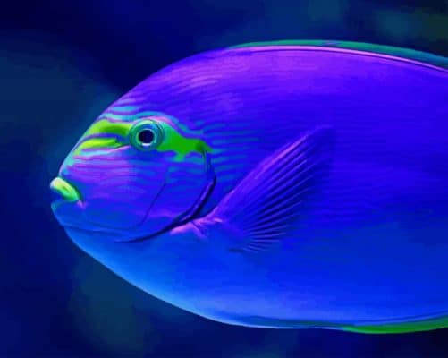 Tropical Blue Fish paint by number