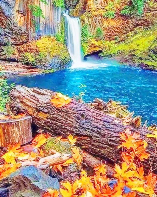 Umpqua National Forest paint by numbers