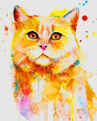 Watercolor Cat paint by numbers