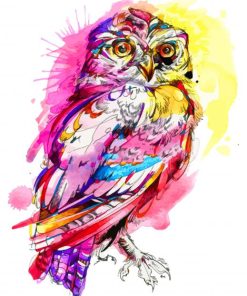 Watercolor Owl paint by numbers