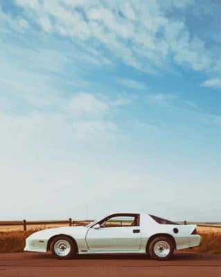 White Chevrolet Camaro paint by numbers