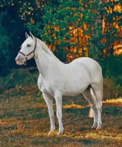 White Horse paint by numbers