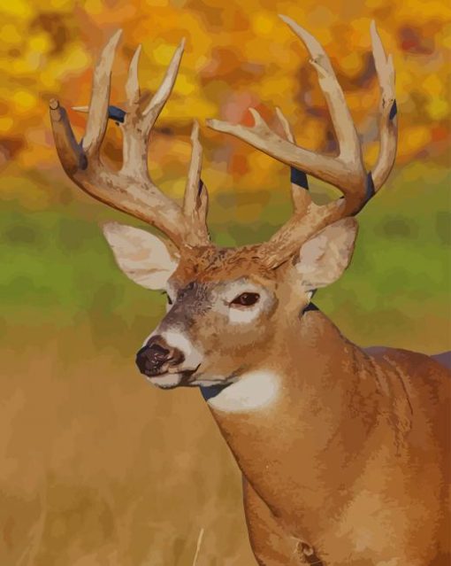 White-tailed-deer paint by numbers paint by numbers
