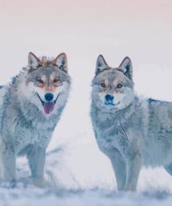 Wolves in snow paint by number