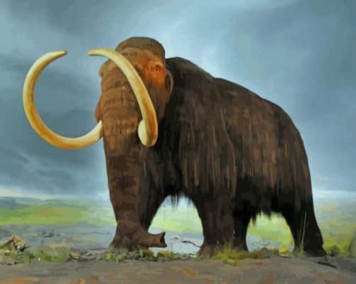 Woolly mammoth paint by number