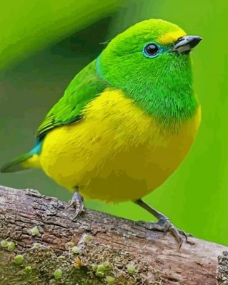 Yellow And Green Bird paint by numbers