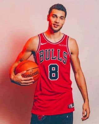 Zach Lavine paint by numbers